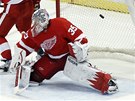 Branká Jimmy Howard z Detroitu u tuhle stelu nechytí. 