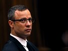 Oscar Pistorius u soudu (25. bezna)