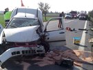 Hromadná nehoda na silnici 33 u Pedmic nad Labem (20. bezna 2014).