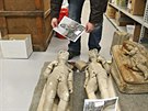 Pracovník muzea Martin Kos ukázal v novém depozitáři i kamenné plastiky rytířů...
