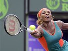 Serena Williamsová v semifinále turnaje v Miami. 