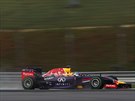 Sebastian Vettel bhem kvalifikace na Velkou cenu Malajsie formule 1.