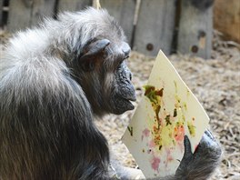 Oslava narozenin impanz v Zoo Dvr Králové nad Labem (22. 3. 2014)