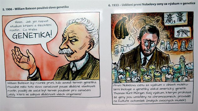 Masarykova univerzita k 95. výročí od svého založení připravila interaktivní výstavu Dotkni se vědy. Nechybí ani poučné komiksy.