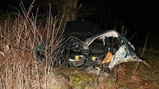 Osobní auto znaky BMW bylo po nárazu do stromu zcela zdemolované. (24. 3. 2014)