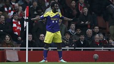 ROZRADOVANÝ STELEC. Wilfried Bony ze Swansea po gólu do sít Arsenalu. 