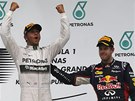 UZNALÉ POPLÁCÁNÍ. Rozzáený Lewis Hamilton zvedá ruce po triumfu ve Veké cen