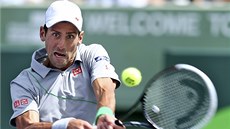 Novak Djokovi se soustedí na úder ve finále turnaje v Miami, kde porazil