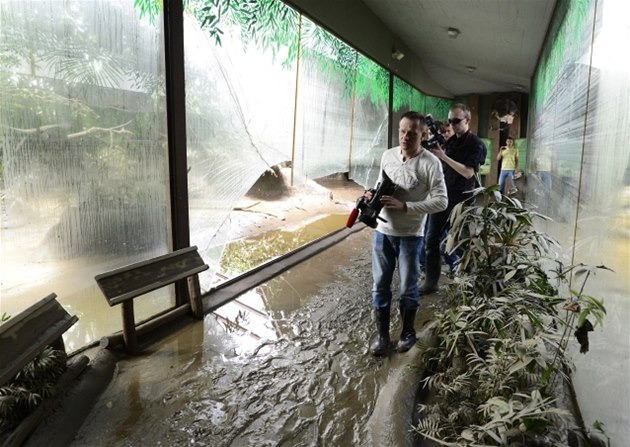 Zoo vyplavila povode.