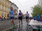 Sportisimo 1/2Maraton Praha 2014