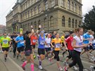 Sportisimo 1/2Maraton Praha 2014 oima Rungo.cz