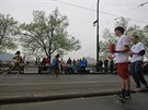 Sportisimo 1/2Maraton Praha 2014 oima Rungo.cz