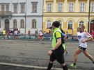 Sportisimo 1/2Maraton Praha 2014 oima Rungo.cz
