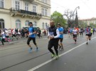 Sportisimo 1/2Maraton Praha 2014 oima Rungo.cz