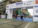 Sportisimo 1/2Maraton Praha 2014 oima Rungo.cz