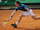 Britský tenista Andy Murray ve tvrtfinále Davis Cupu proti Itálii. 