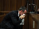 Oscar Pistorius ped soudem vypovídal velmi emocionáln (Pretoria, 7. dubna)