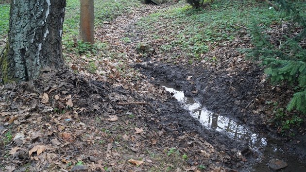 Bahno kontaminované chemikáliemi, které bylo u potoka v Borském parku, museli...