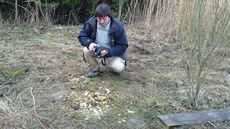 Pracovník CHKO Beskydy Franti�ek �ulgan obhlí�í zbytky v�elích plást� po