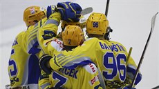 ZLÍNSKÁ RADOST. Hokejisté Zlína oslavují jeden z gólu proti T�inci ve �tvrtém...