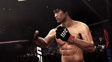 UFC - Bruce Lee