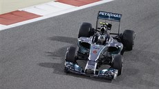 Německý jezdec formule 1 Nico Rosberg ovládl kvalifikaci na Velkou cenu...