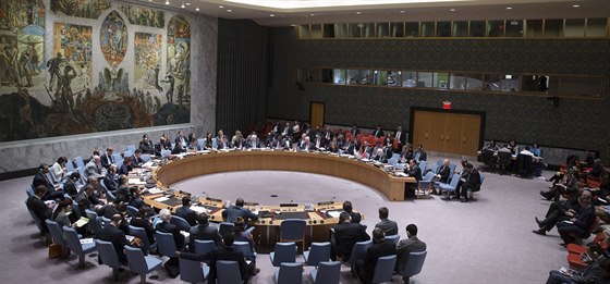 Jednání Rady bezpenosti OSN.