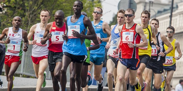 Momentka z vinaského plmaratonu v Pardubicích