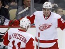 Tomá Juro a Daniel Alfredsson oslavují trefu Detroitu.