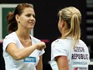 Lucie afáová (vlevo) a Andrea Hlaváková se chystají na semifinále Fed Cupu.