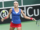 eská tenistka Lucie afáová sleduje míek v úvodní dvouhe semifinále Fed...