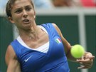 PEKELN SOUSTEDN. Italsk tenistka Sara Erraniov bhem vodn dvouhry...