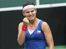 GESTO VÍTĚZSTVÍ. Lucie Šafářová slaví první bod v semifinále Fed Cupu proti...