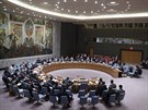 Jednání Rady bezpenosti OSN o situaci na Ukrajin (14. dubna 2014)