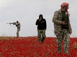 JARO v SÝRII. Syrtí rebelové na kvtinovém poli v provincii Idlíb.