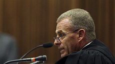 Gerrie Nel, státní zástupce v procesu s Oscarem Pistoriusem (16. dubna 2014)