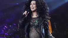 Cher na svém koncertu v Bostonu (duben 2014)