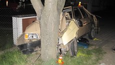 P�i vá�né nehod� utrp�li dva ze t�i cizinc� t�ká zran�ní. Pozd�ji se ukázalo,...