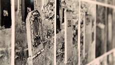 Oíslované náhrobky ze znieného idovského hbitova v Jablonci nad Nisou.