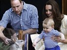 Princ George se svým jmenovcem vanatcem bandikutem králíkovitým (Sydney, 20....