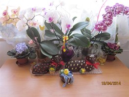 Zasílám velikonoční beránky v zátiší s orchidejemi, které mi takto kvetou již...