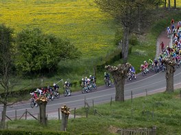 Momentka z cyklistickho zvodu Amstel Gold Race.