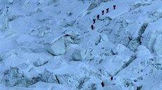 Skupina horolezc stoupá po ledopádu Khumbu na Mount Everest (18. kvtna 2013)