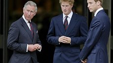Ryaví idolové mladých Britek, princové Harry (uprosted) a William (vpravo)