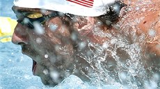 Michael Phelps p�i svém návratu na mítinku v Mese.