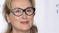 Meryl Streepová (New York, 21. dubna 2014)