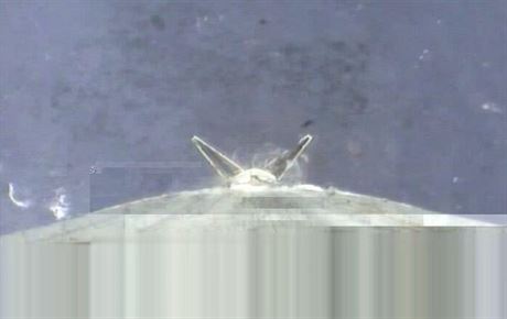 Jeden z nejlepích zábr z paluby pistávajícího I. stupn rakety Falcon 18....