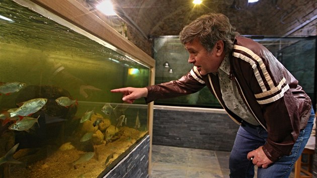 V muzeu v Bystřici nad Pernštejnem se otevírá unikátní živá rybí expozice. První návštěvníky přivítá 8. května. Ukáže jim ryby žijící v povodí řeky Svratky.
