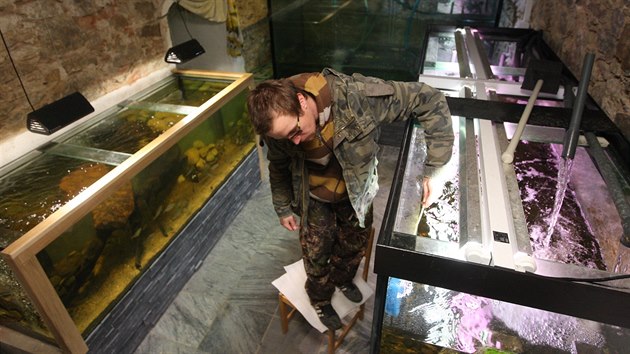 V muzeu v Bystici nad Perntejnem se otevr uniktn iv ryb expozice. Prvn nvtvnky pivt 8. kvtna. Uke jim ryby ijc v povod eky Svratky.