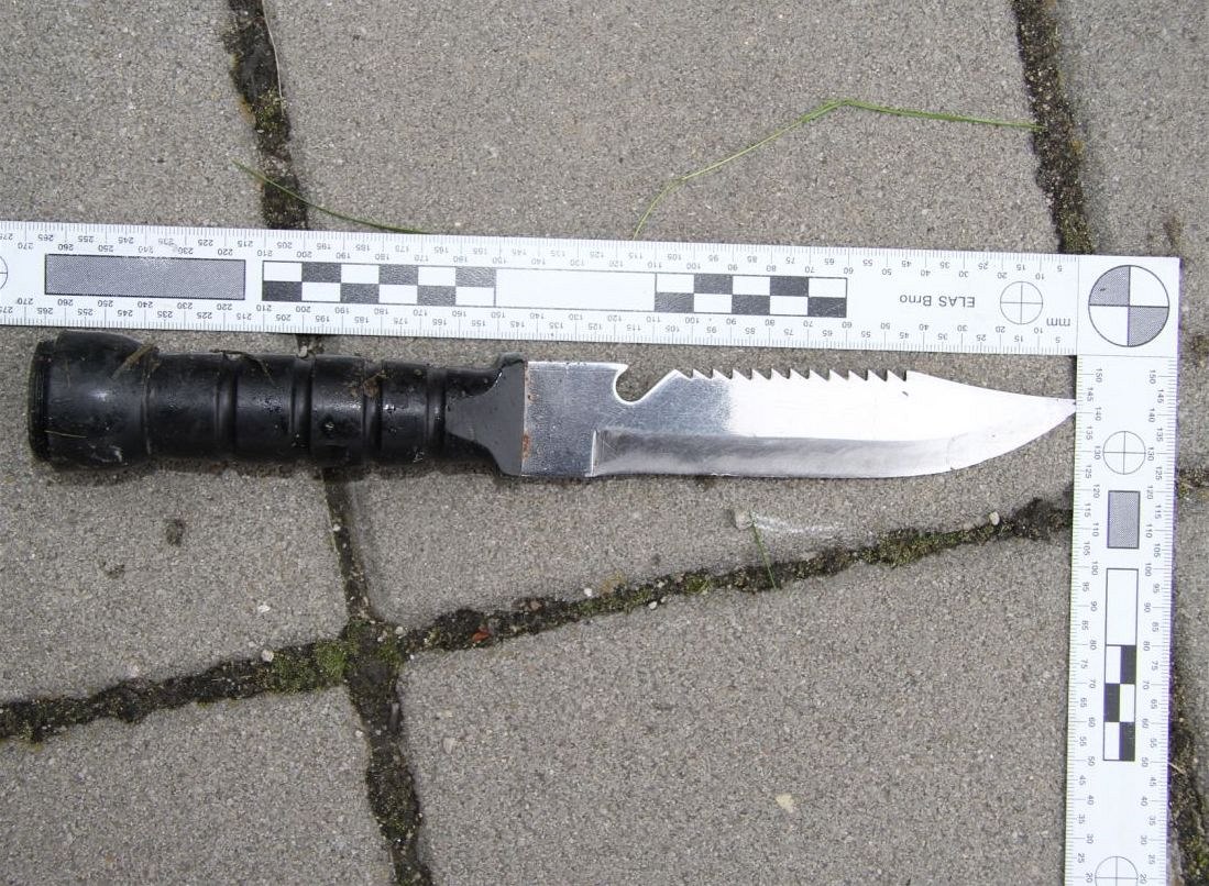 �ena zaúto�ila na studenty replikou vojenského no�e s �epelí dlouhou 21 centimetr�. Ilustra�ní snímek